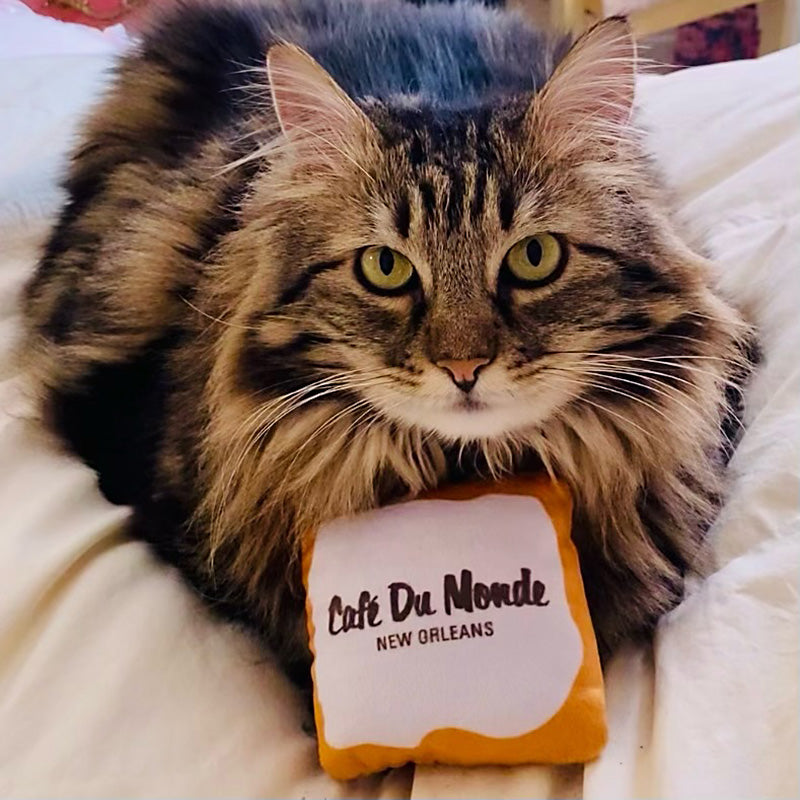 Beignet Cat Toy image 2