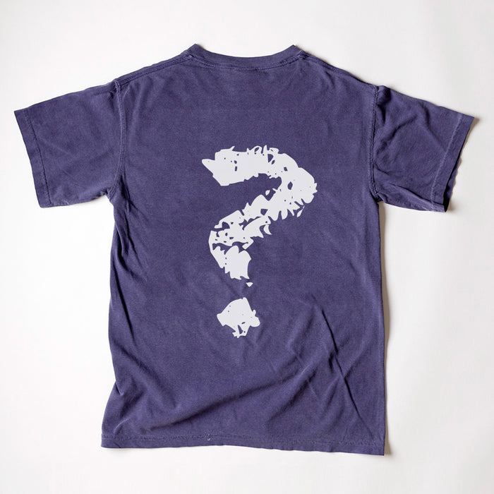 Mystery Shirt image 1